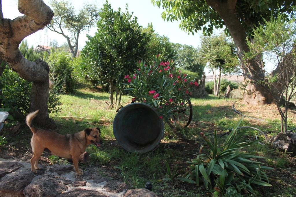 Agriturismo Su Recreu Ittiri Exterior foto