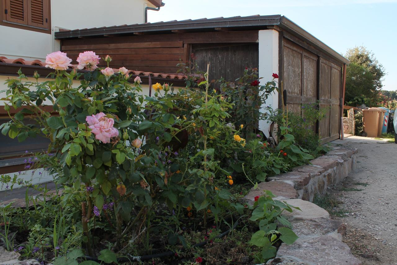Agriturismo Su Recreu Ittiri Exterior foto